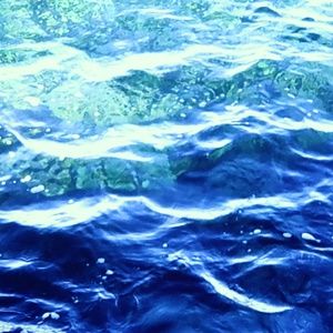 Meet your Posher, Josalynn